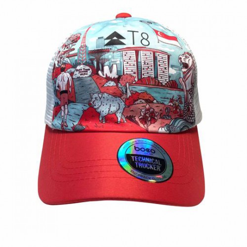 Singapore Limited Edition by Daniel Ng Technical Trucker